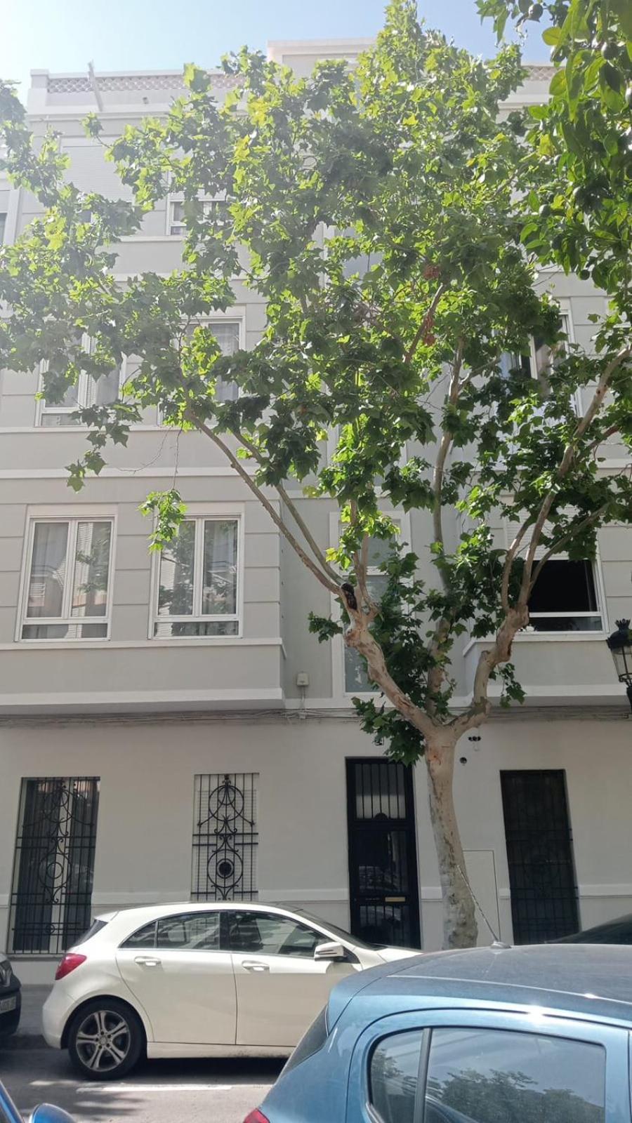 Florit Flats - The Patraix Apartments فالنسيا المظهر الخارجي الصورة